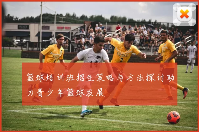 篮球培训班招生策略与方法探讨助力青少年篮球发展