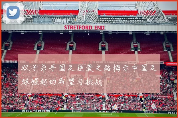 双子杀手国足逆袭之路揭示中国足球崛起的希望与挑战