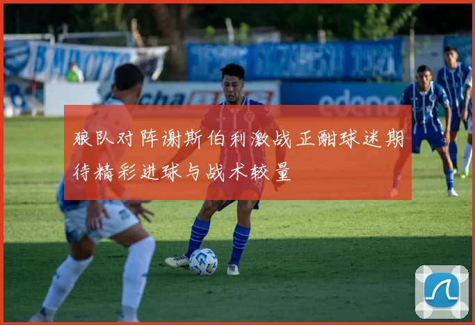 狼队对阵谢斯伯利激战正酣球迷期待精彩进球与战术较量