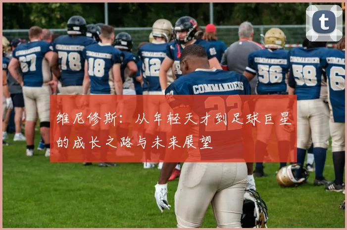 维尼修斯：从年轻天才到足球巨星的成长之路与未来展望