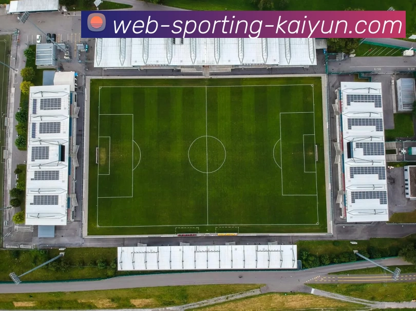 开云平台生态图